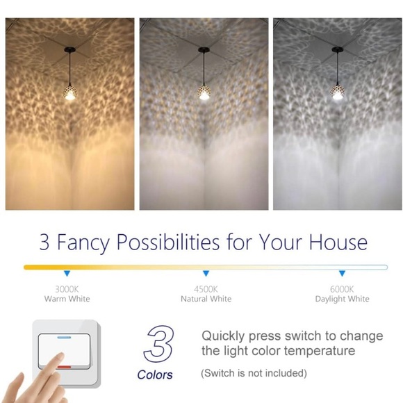 Pendant Lights - Picture 4 of 6